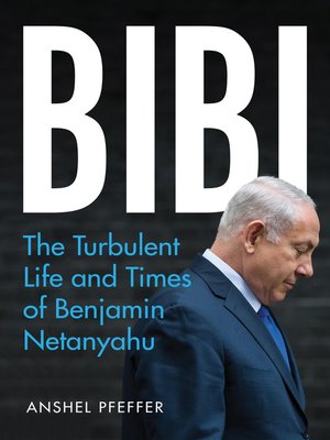 cover image of Bibi
